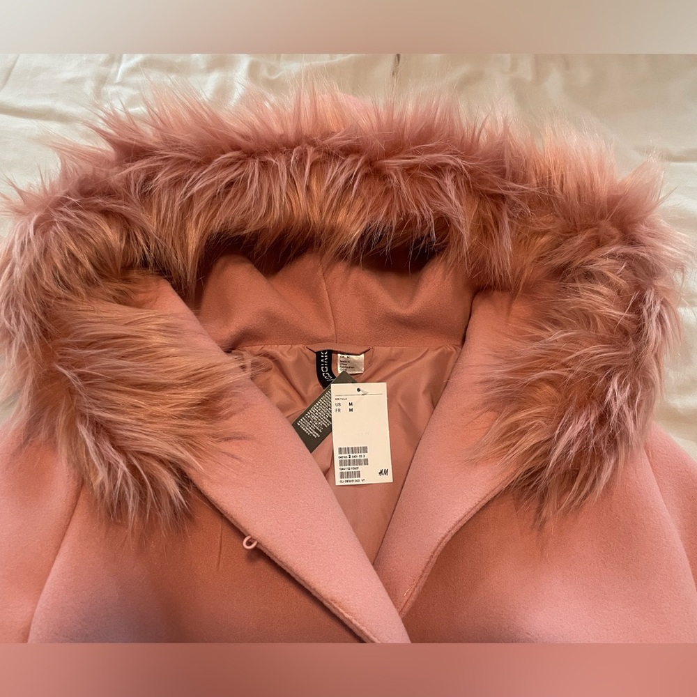 H&M Blush Pink Coat Detachable Imitation Fur on Hood Size M NWT - Picture 5 of 8